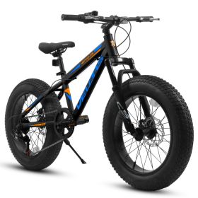 V20235 20 Inch Fat Tire Bike 7 Speed Mountain Bike, Dual Disc Brakes, High Carbon Steel Frame, Front Suspension, Mountain Buggy, City Commuter City Bi (Option: Black)
